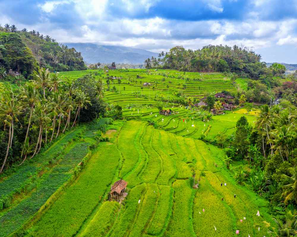 bali viewpoint
