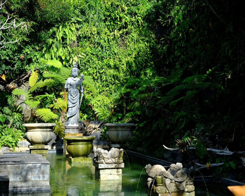 plaza kura-kura